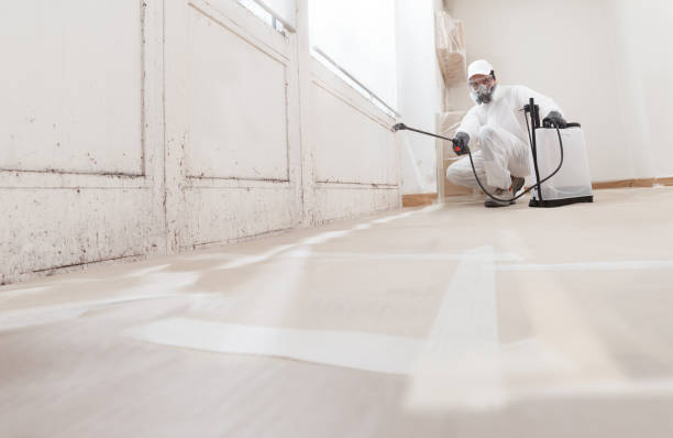 24/7 Emergency Attic Mold Remediation experts in Spring Lake, NJ